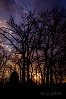 Sunrise-Sunsets