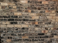 Bricks
