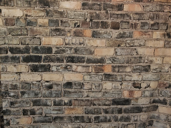 Bricks
