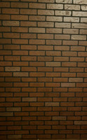 Red Bricks