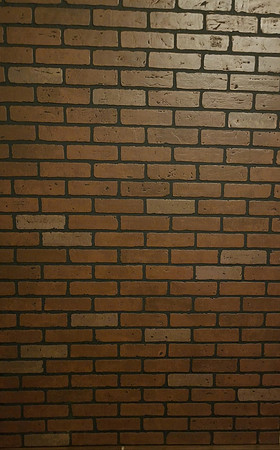 Red Bricks